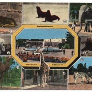 San Francisco Zoo