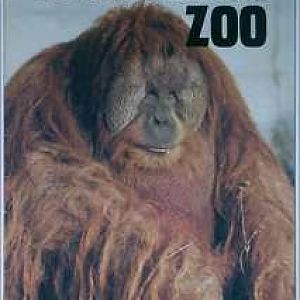 ID needed please :o) 1977