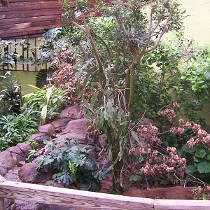 Island Life bird exhibit