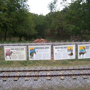 Deer Ravine sign