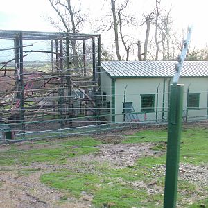 Guinea Baboon housing at Port Lympne 27/11/09