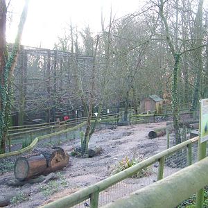 Porcupine exhibit at Port Lympne 27/11/09