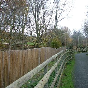 Construction at Port Lympne 27/11/09