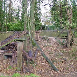 Meerkat exhibit at Port Lympne 27/11/09