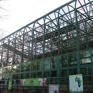Palace of the Apes at Port Lympne 27/11/09