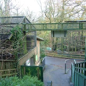 Primate exhibits at Port Lympne 27/11/09