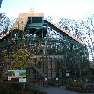Gorilla Pavilion at Port Lympne 27/11/09
