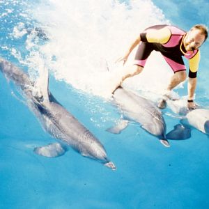 Flamingoland Dolphinarium 1984 - 1993