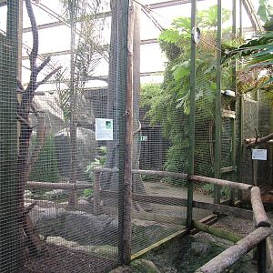 Tropical House at the RSCC 28/11/09