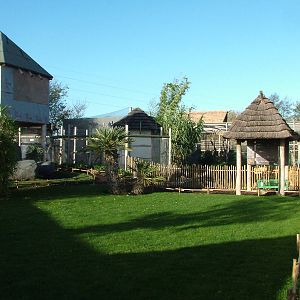 Lemur exhibits at the RSCC 28/11/09