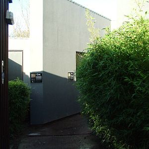 Off-show area at the RSCC 28/11/09