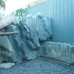 Part of the Snow Leopard exhibit at the RSCC 28/11/09