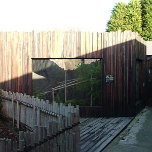 Owston's Palm Civet enclosure at the RSCC 28/11/09