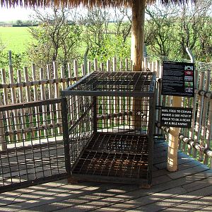Bear Bile Farm cage at the RSCC 28/11/09