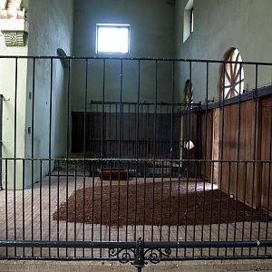 Cologne Zoo - Moorish House (sitatunga)