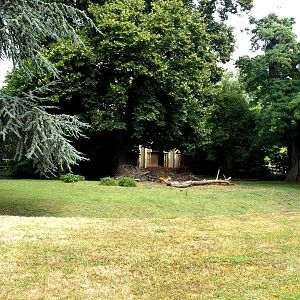 Cologne Zoo - Sitatunga exhibit