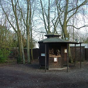 Mouse and Lizard building at Wildwood 28/11/09