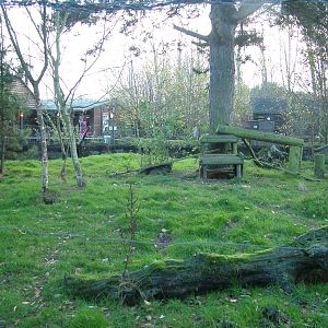 Red Fox enclosure at Wildwood 28/11/09
