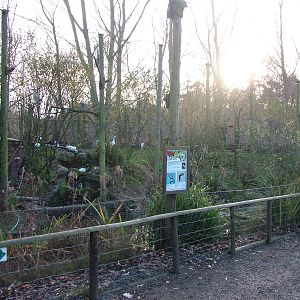 Wetland bird aviary at Wildwood 28/11/09