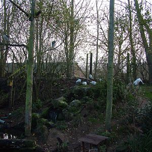 Wetland bird aviary at Wildwood 28/11/09