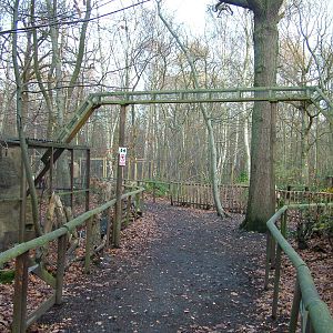 Weasel exhibits at Wildwood 28/11/09