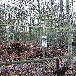 New red fox exhibit under contruction at Wildwood 28/11/09