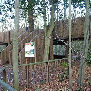 Wolf viewing area at Wildwood 28/11/09