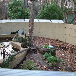 American Mink exhibit at Wildwood 28/11/09