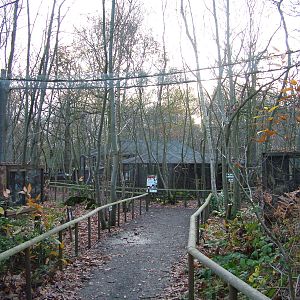 Dormouse exhibit at Wildwood 28/11/09