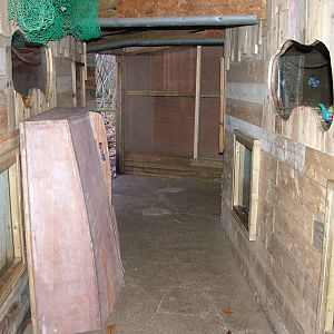 Rat Barn at Wildwood 28/11/09