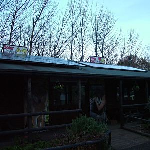 Solar panels at Wildwood 28/11/09