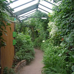 Tropical House at Tropical Wings 29/11/09