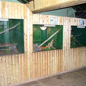 Reptile exhibits at Tropical Wings 29/11/09
