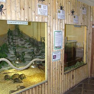 Tortoise and Ant exhibit at Tropical Wings 29/11/09