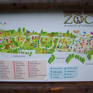 Map at Tropical Wings 29/11/09