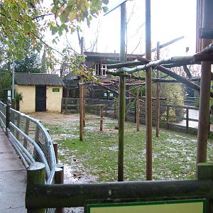 Savannah Plains at Tropical Wings 29/11/09