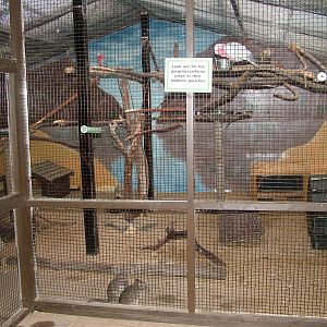 Australian exhibit at Tropical Wings 29/11/09