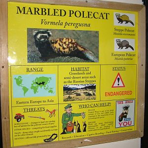 Signage example at Tropical Wings 29/11/09