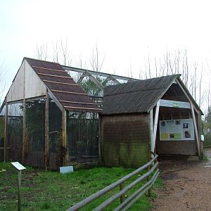 Raven's Nest at Tropical Wings 29/11/09