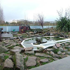 Asian Short-clawed Otter exhibit at Tropical Wings 29/11/09