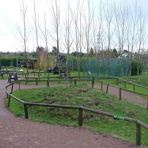 Wallaby and Mara Walkthrough at Tropical Wings 29/11/09