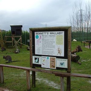 Walkthrough signs and Wallabies at Tropical Wings 29/11/09