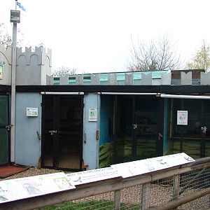 Bird of Prey Mews at Tropical Wings 29/11/09
