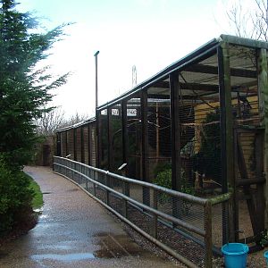 Aviaries at Tropical Wings 29/11/09