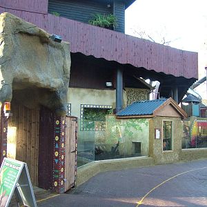 Aardvark Burrow at Colchester 29/11/09