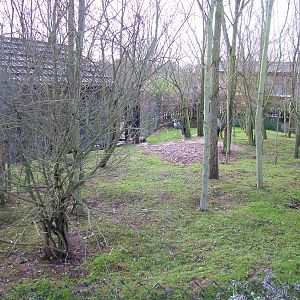 Blue Crane and Blue Duiker mixed exhibit at Colchester 29/11/09
