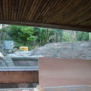 Amur Leopard enclosure construction at Colchester 29/11/09