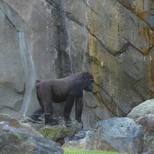 Walking through the bai