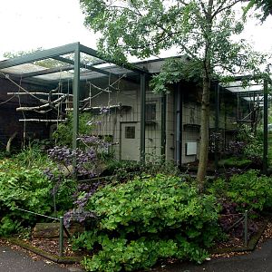 Cologne Zoo - Madagascar House