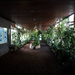 Cologne Zoo - Madagascar House